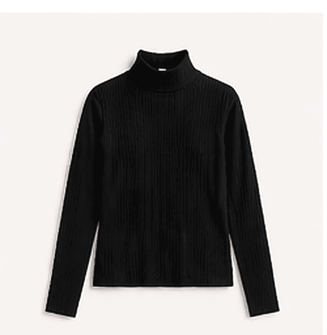 リブタートルネック（ブラック）